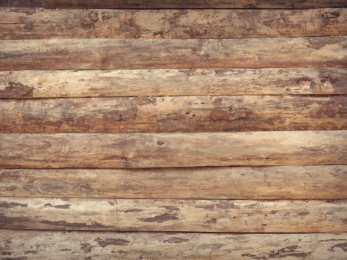 Cedar